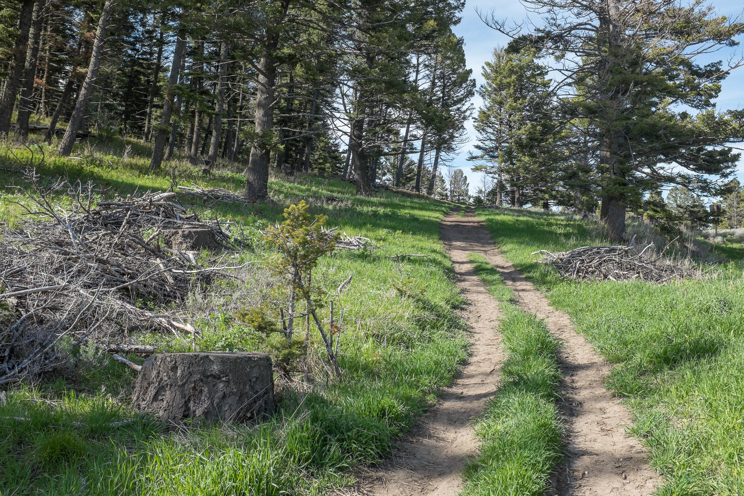 Battle Ridge Trailhead Natural Atlas