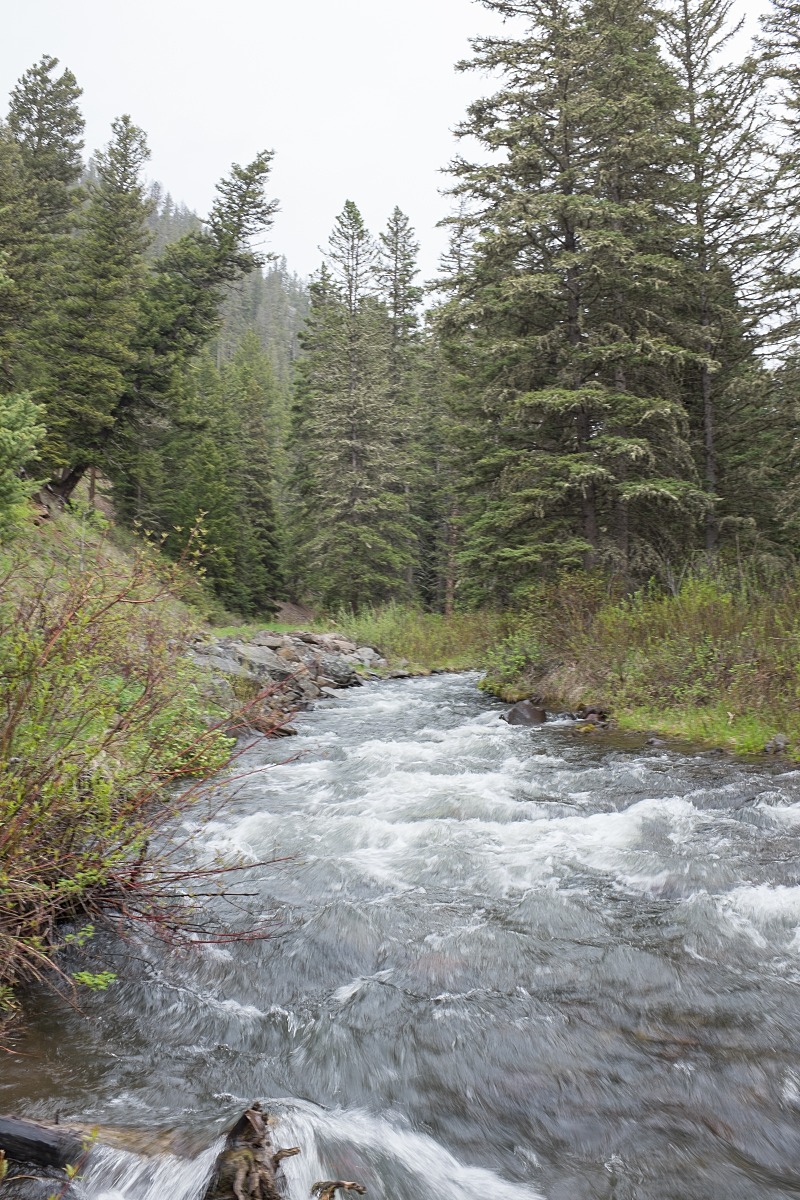 Swan Creek Trailhead Natural Atlas