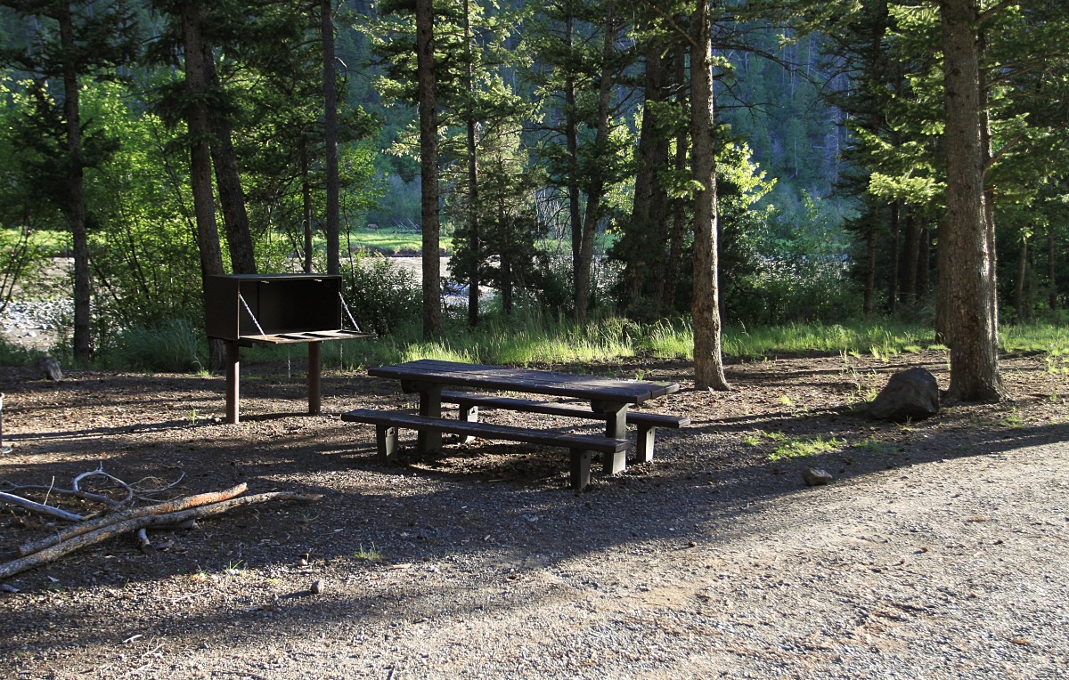 Newton Creek Campground Natural Atlas