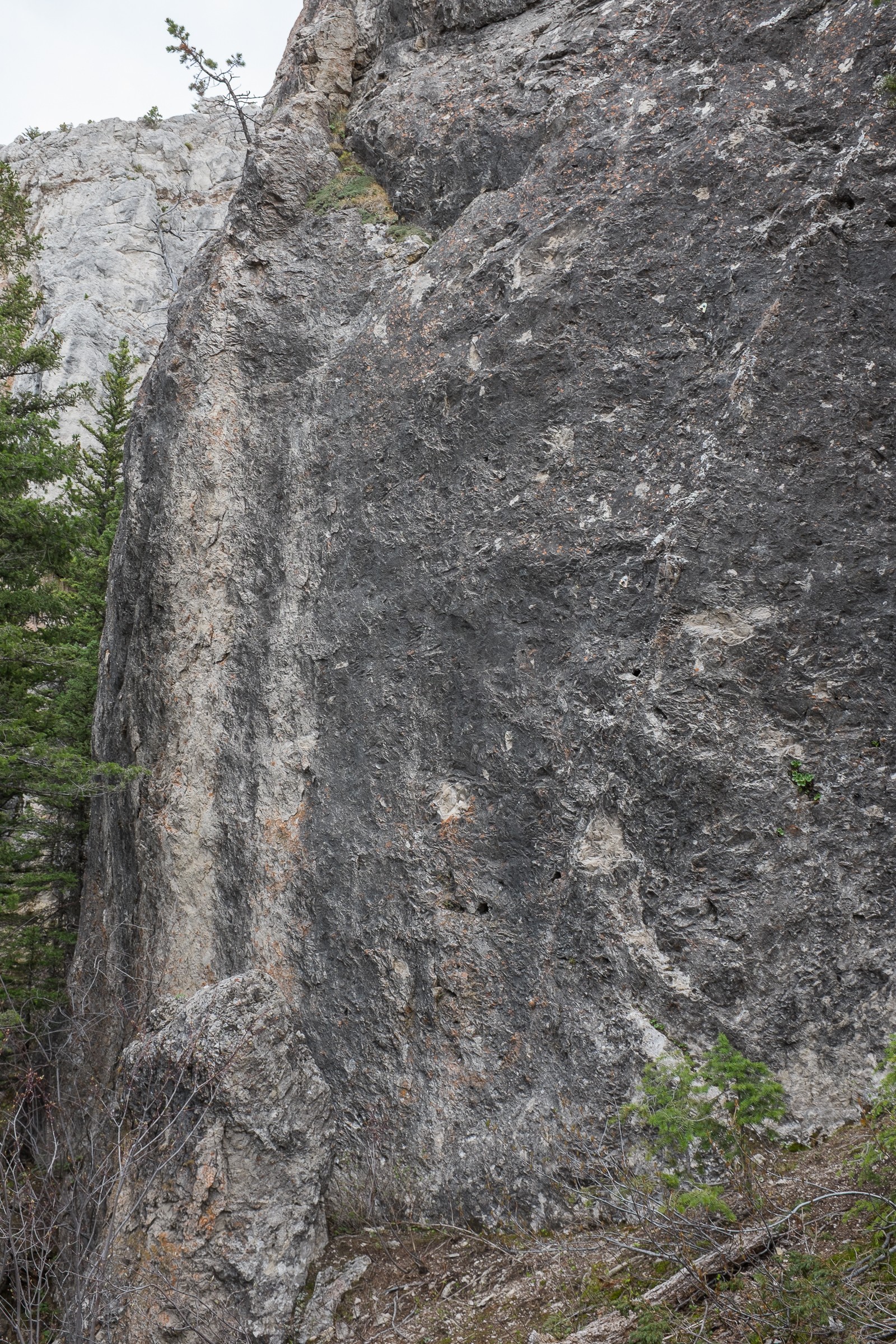 Frog Rock Climbing Area Natural Atlas