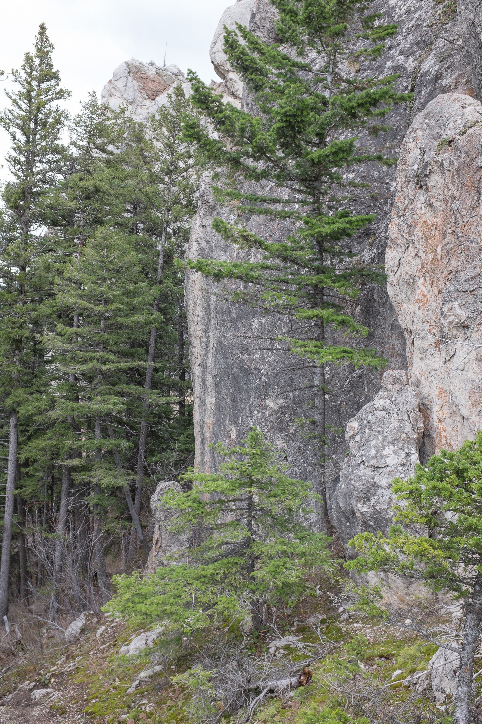 Frog Rock Climbing Area Natural Atlas
