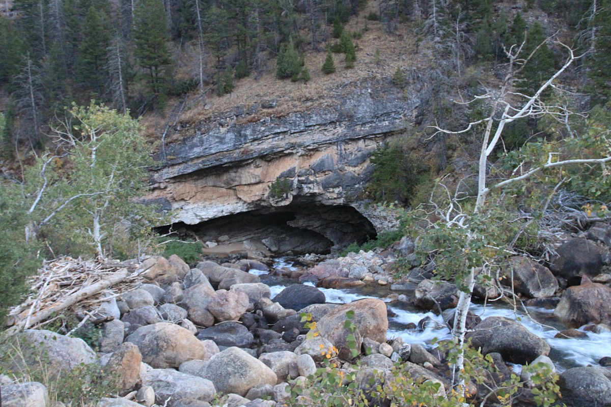 Sinks Canyon Natural Atlas