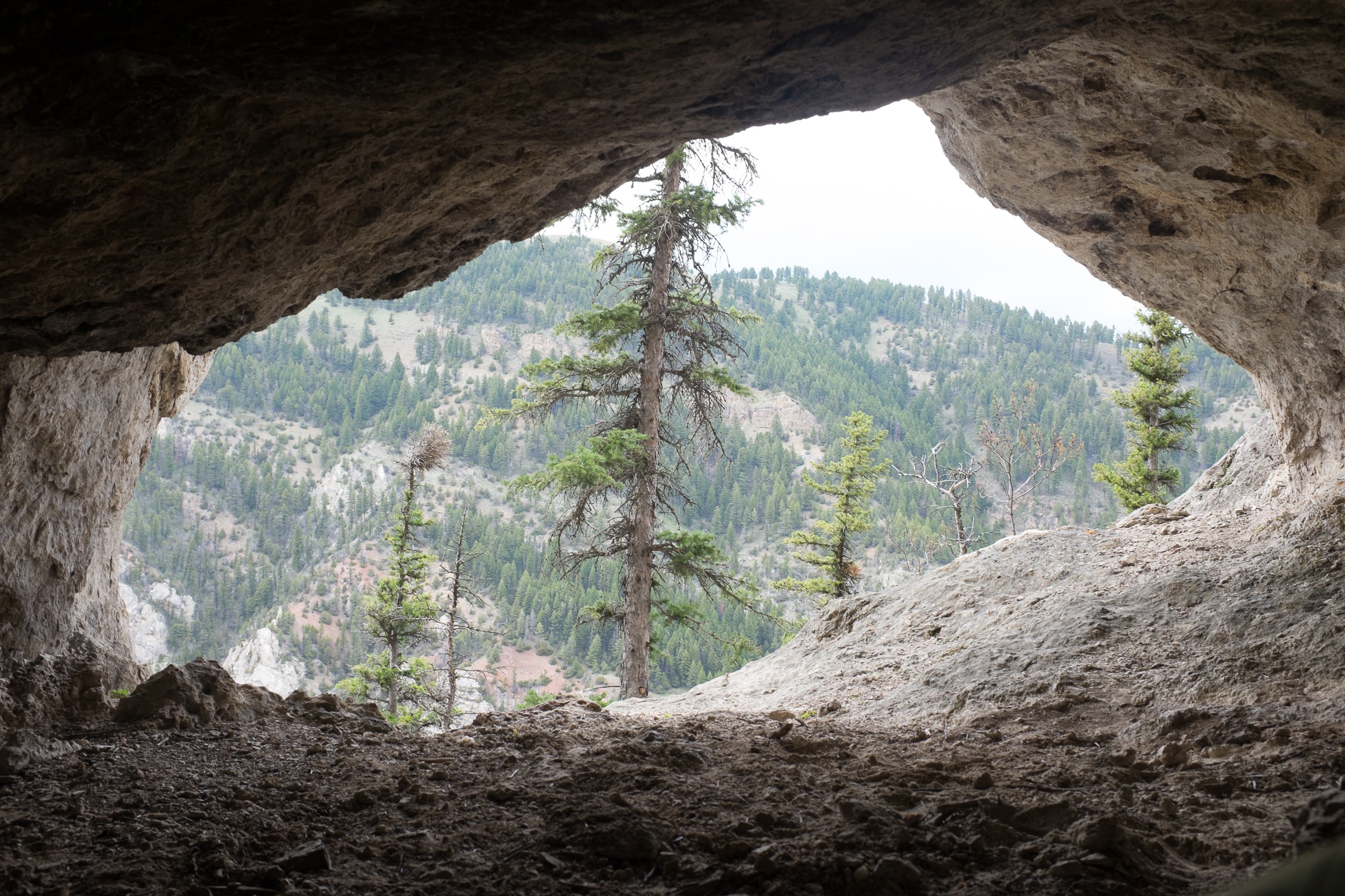 Frog Rock Climbing Area Natural Atlas