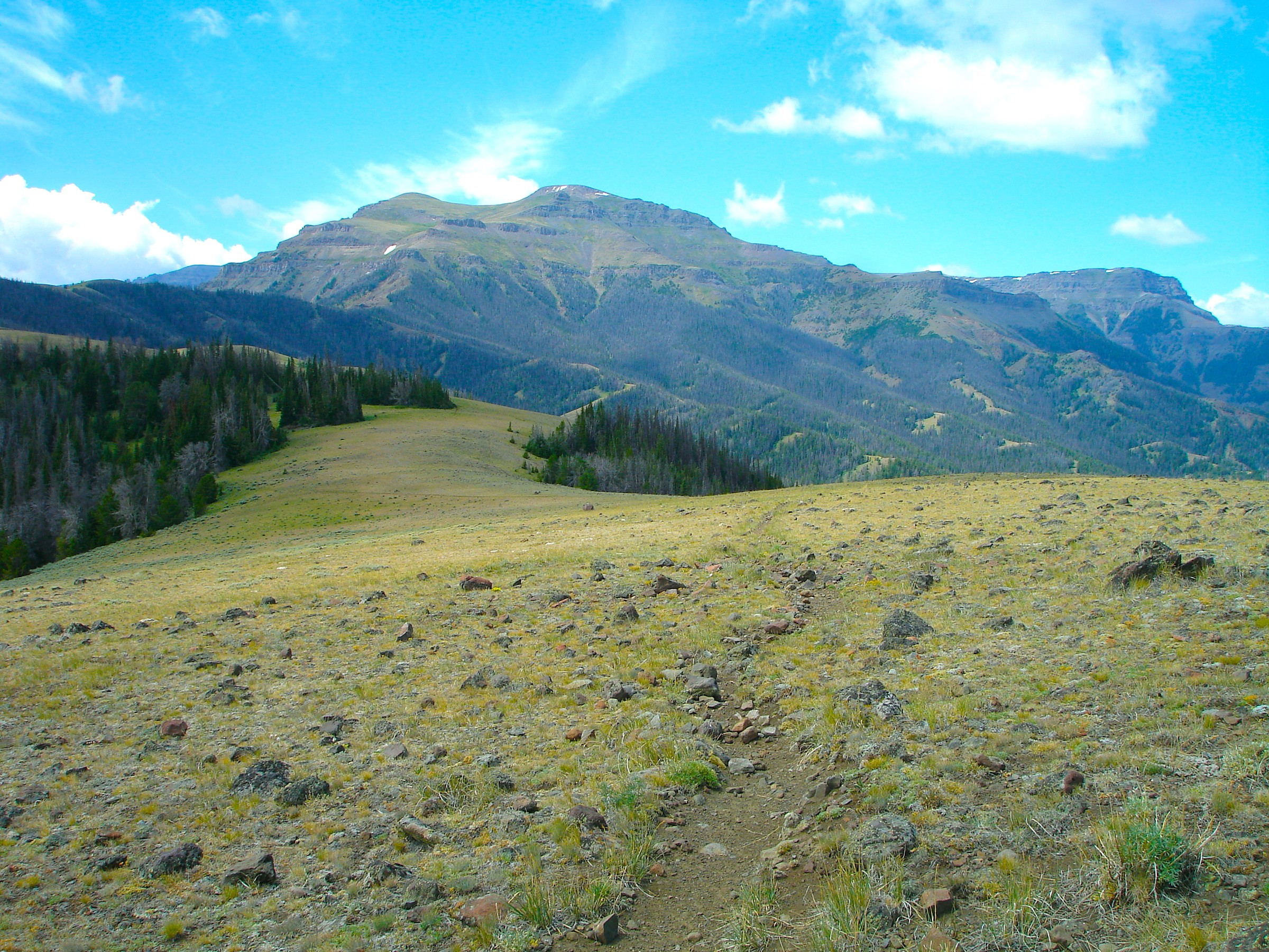 Table Mountain Trailhead Natural Atlas