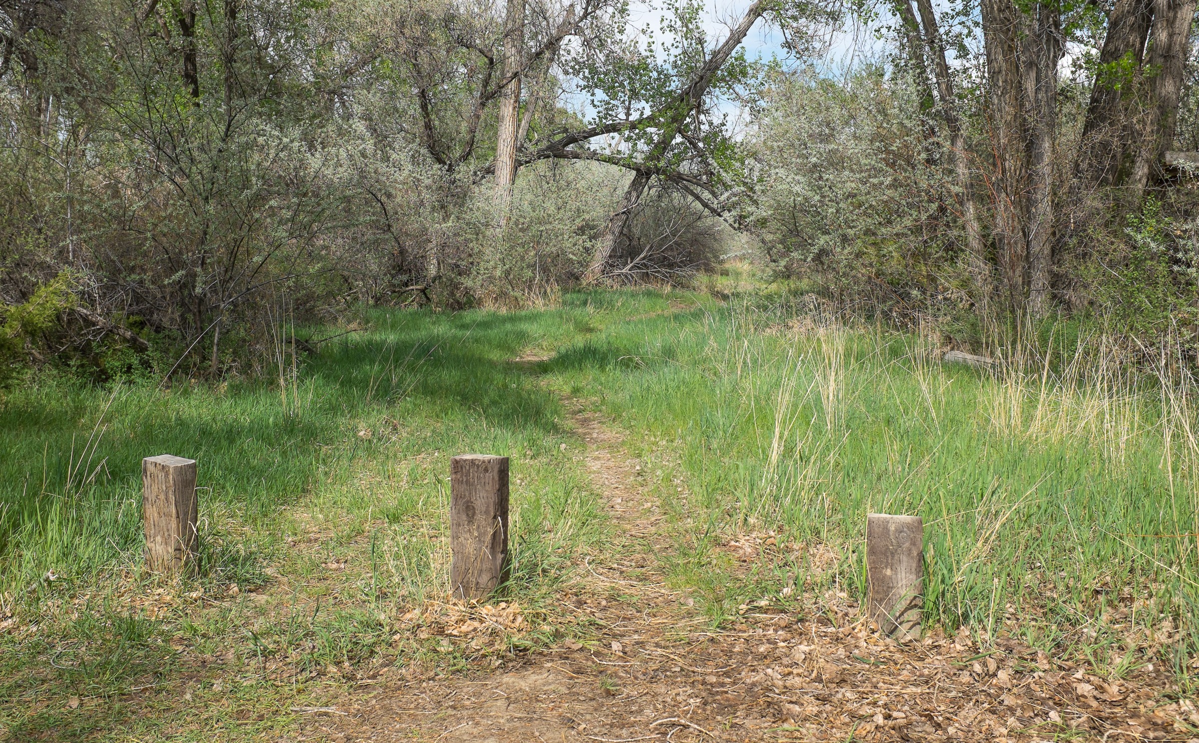Clarks Fork of the Yellowstone Fishing Access Site MT 