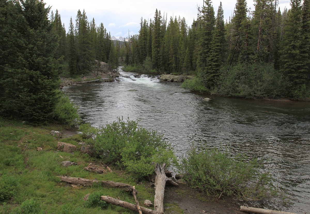 Clarks Fork Picnic Area Natural Atlas
