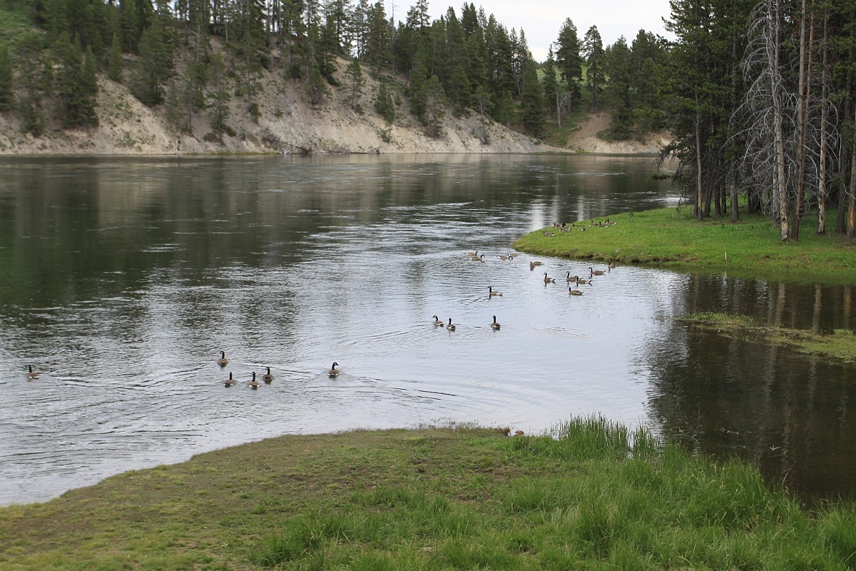 Otter Creek Picnic Area Natural Atlas
