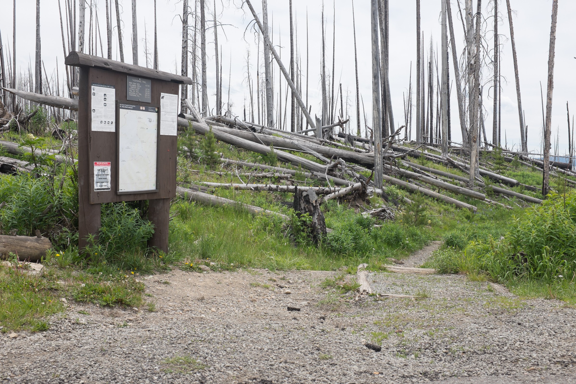 Nine Mile Trailhead Natural Atlas