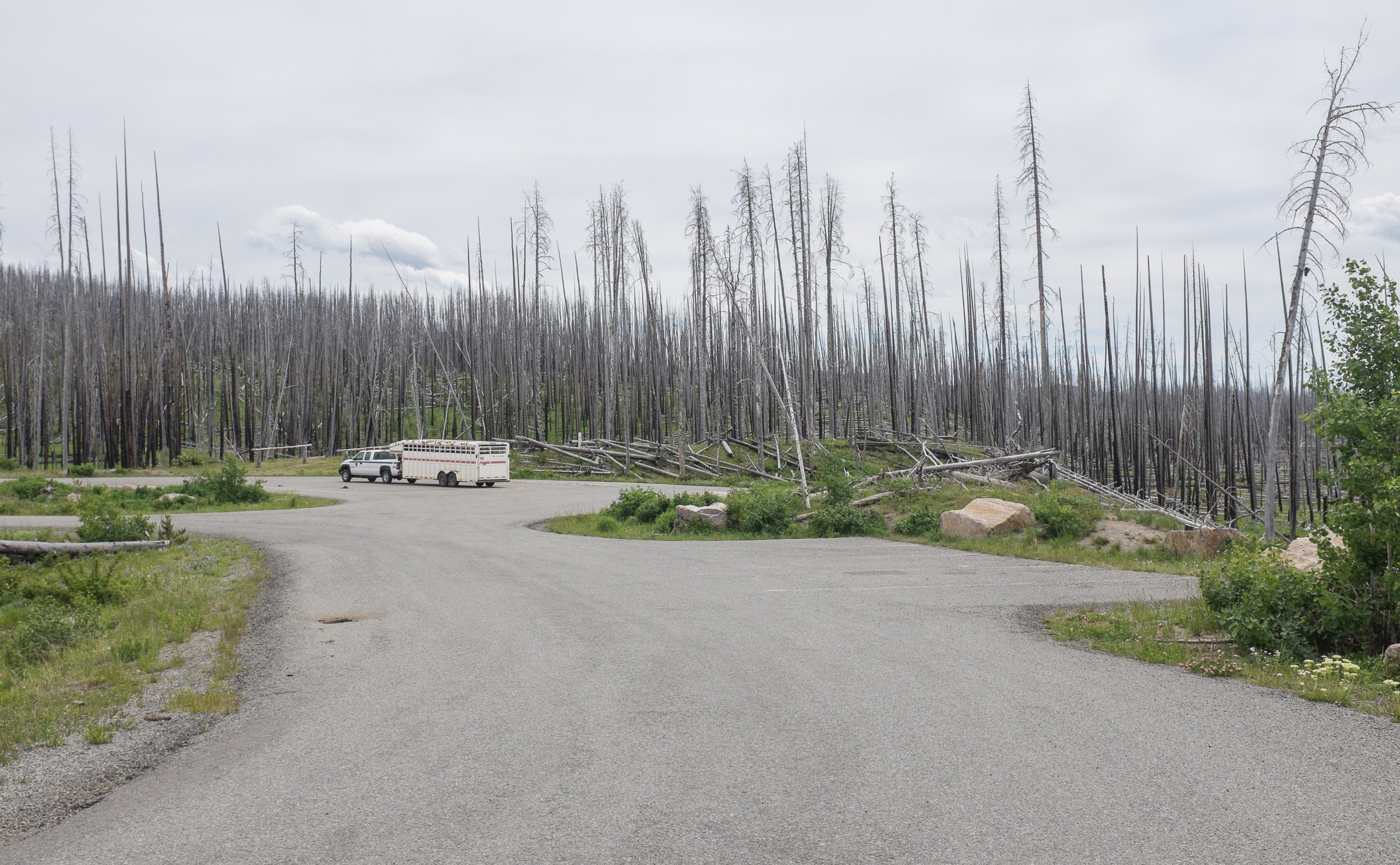 Nine Mile Trailhead Natural Atlas