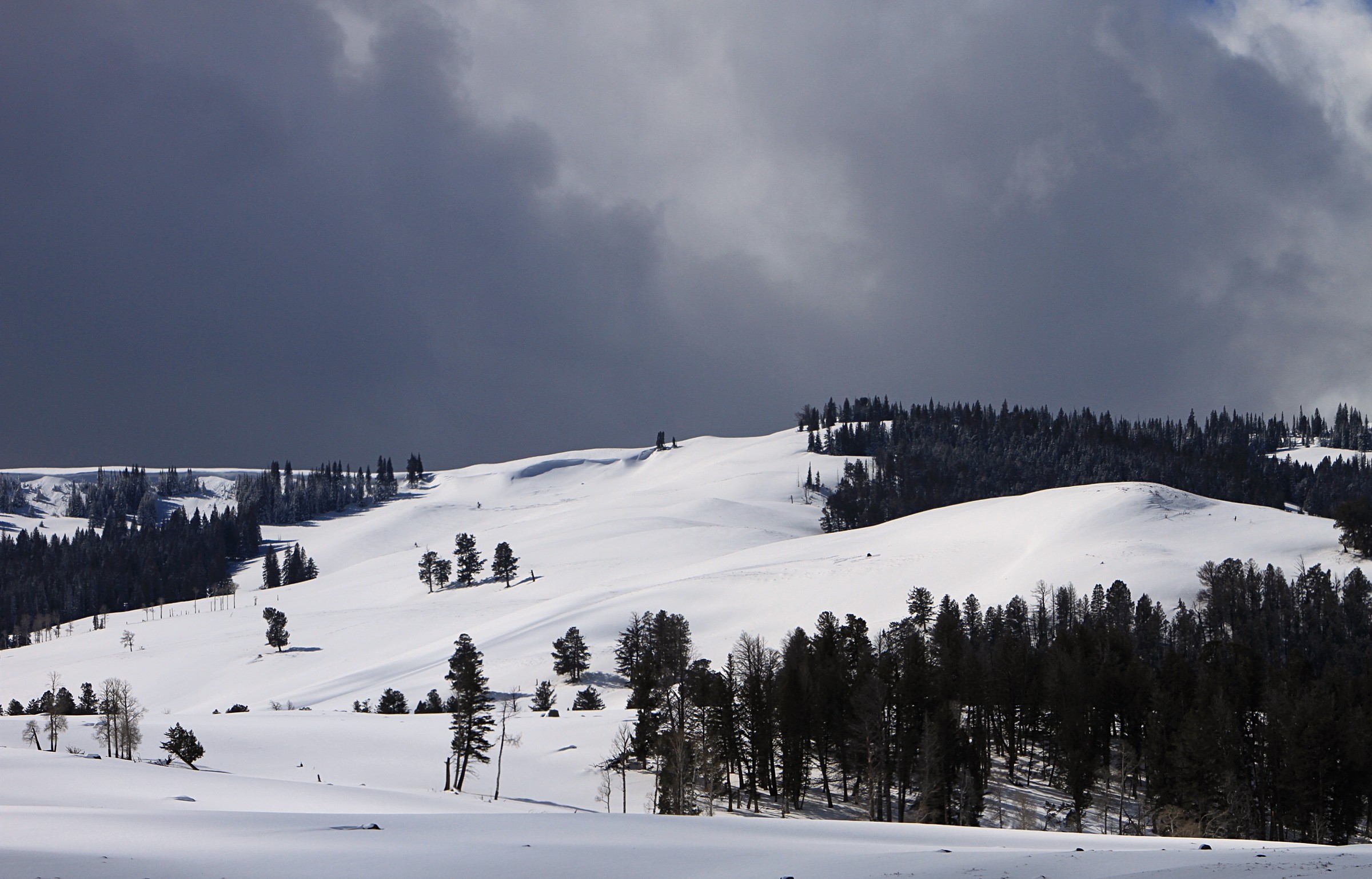 Specimen Ridge Natural Atlas