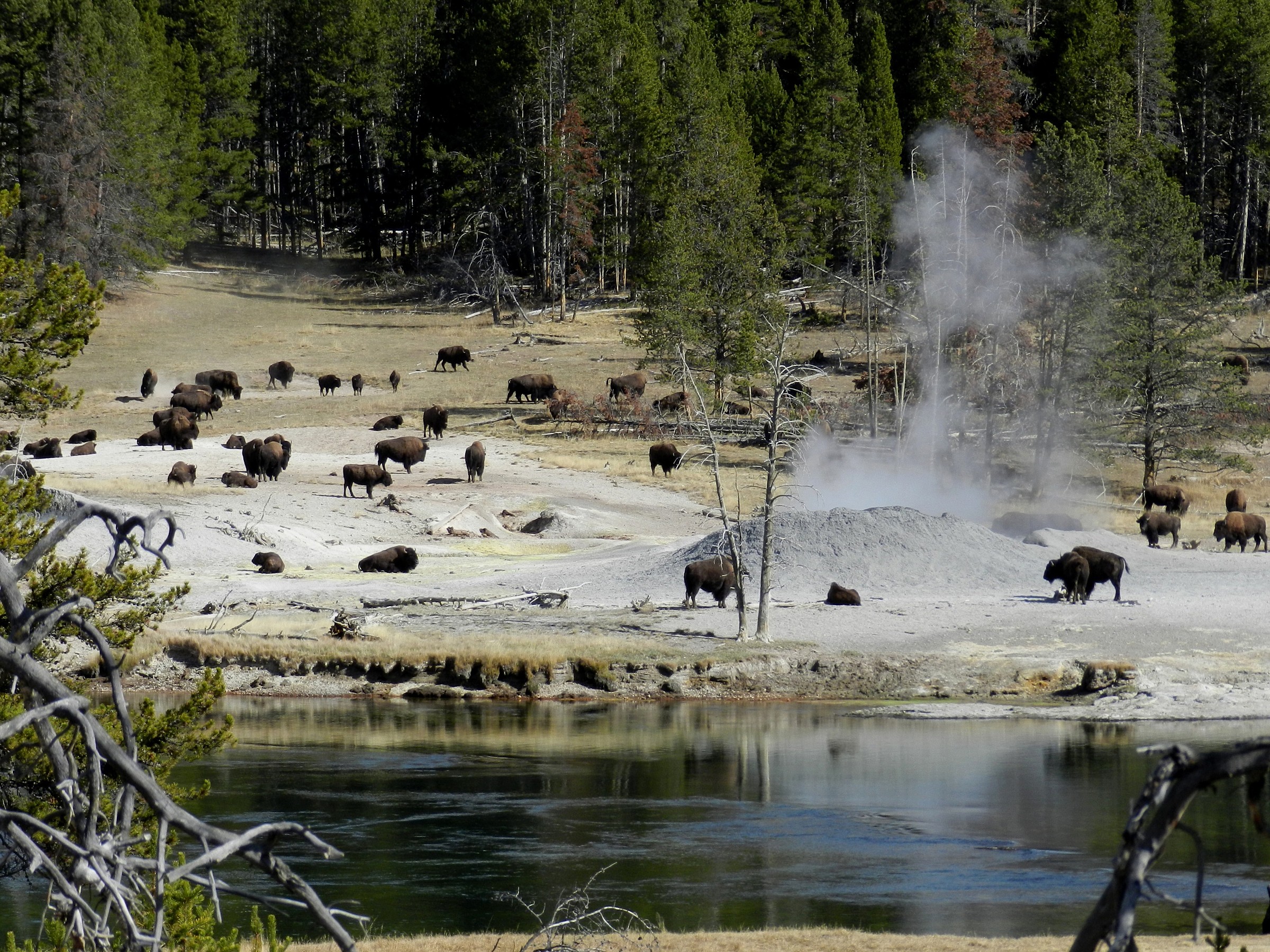 Mud Volcano Thermal Area Map (Yellowstone) â Natural Atlas
