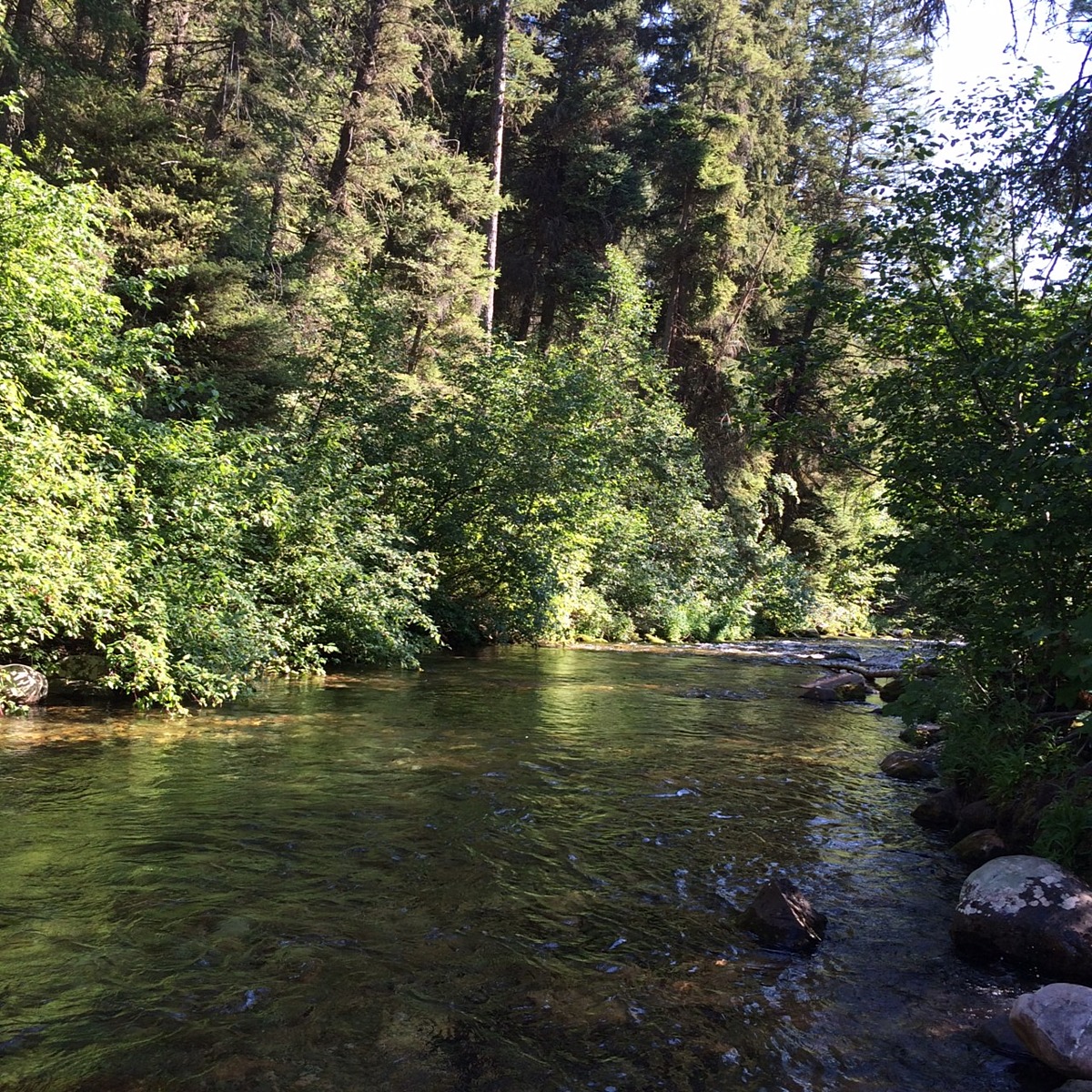 Rattlesnake National Recreation Area and Wilderness Natural Atlas