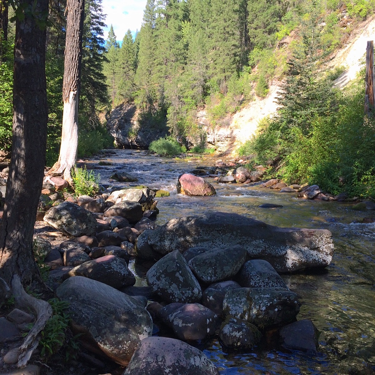 Rattlesnake National Recreation Area and Wilderness Natural Atlas