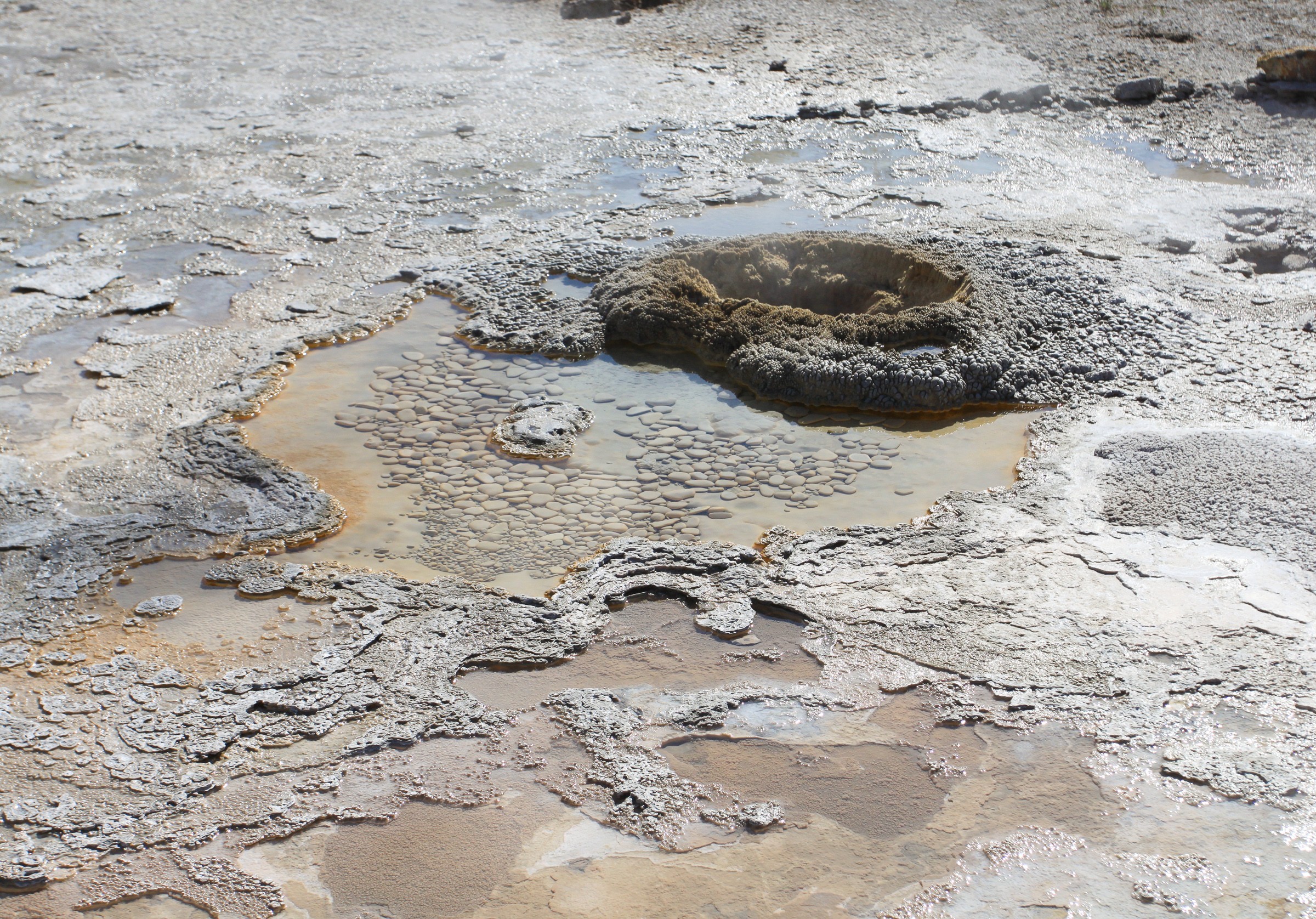 Aurum Geyser Natural Atlas