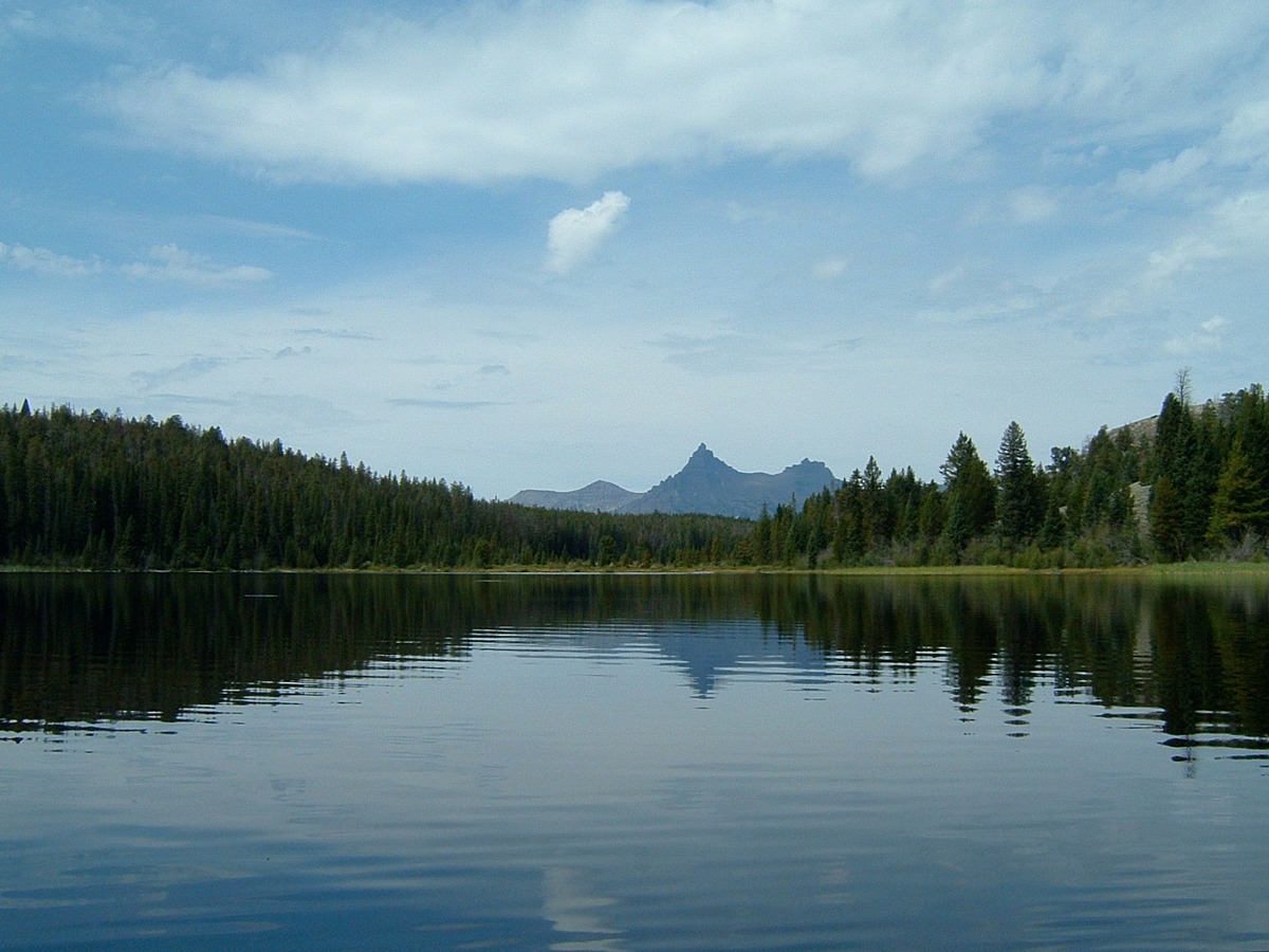 Lily Lake Camping Area Natural Atlas