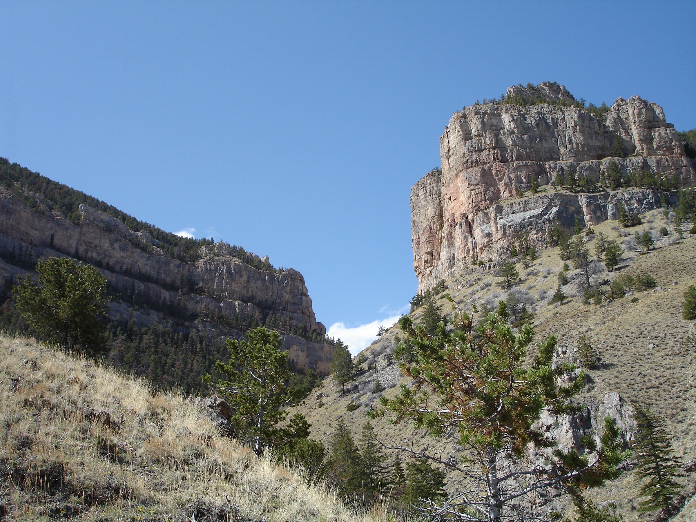 Sheep Mountain Trailhead, WY Natural Atlas
