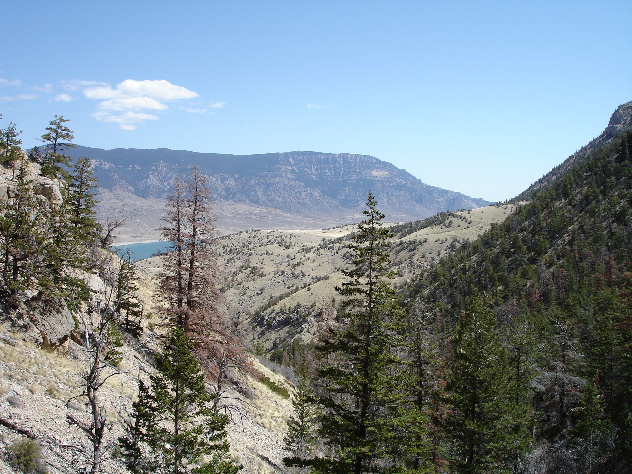Sheep Mountain Trailhead, WY Natural Atlas