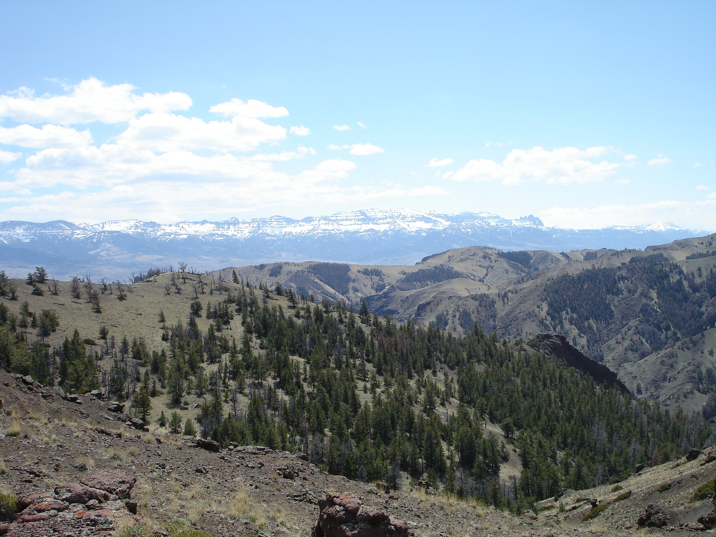 Sheep Mountain Trailhead Natural Atlas