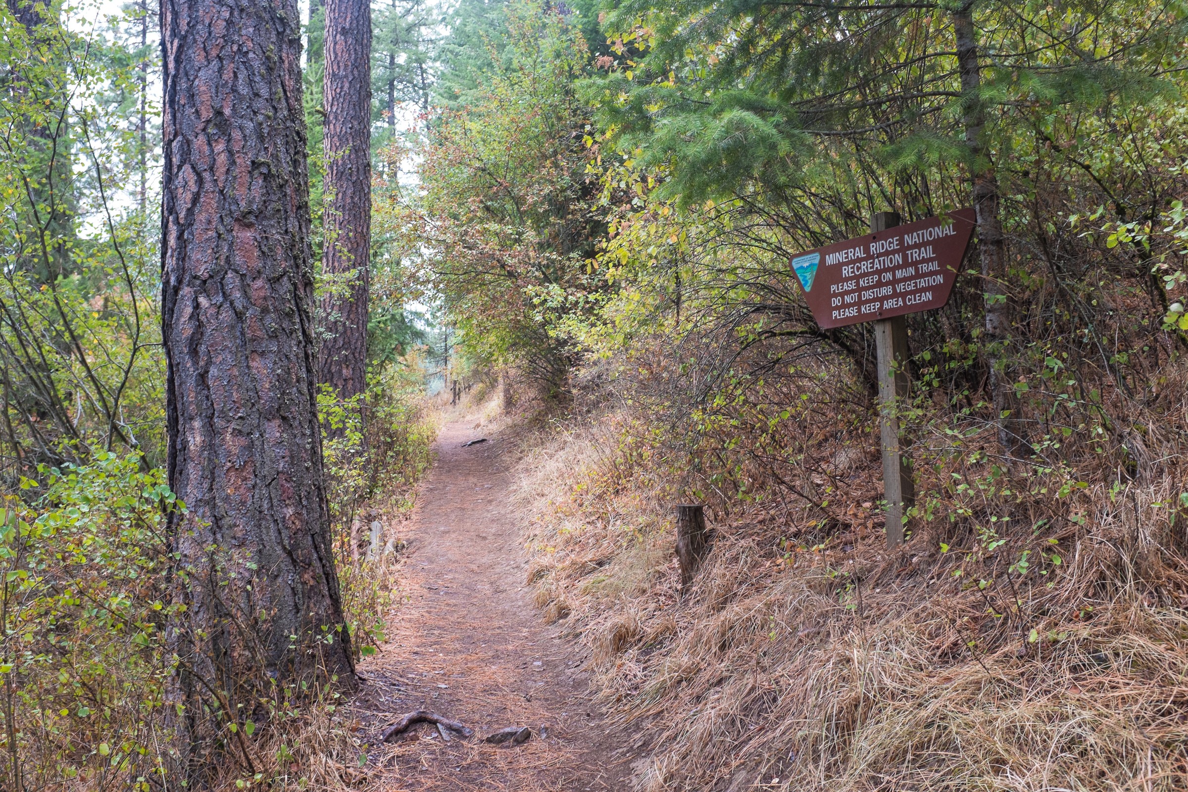 Mineral Ridge Trailhead Natural Atlas