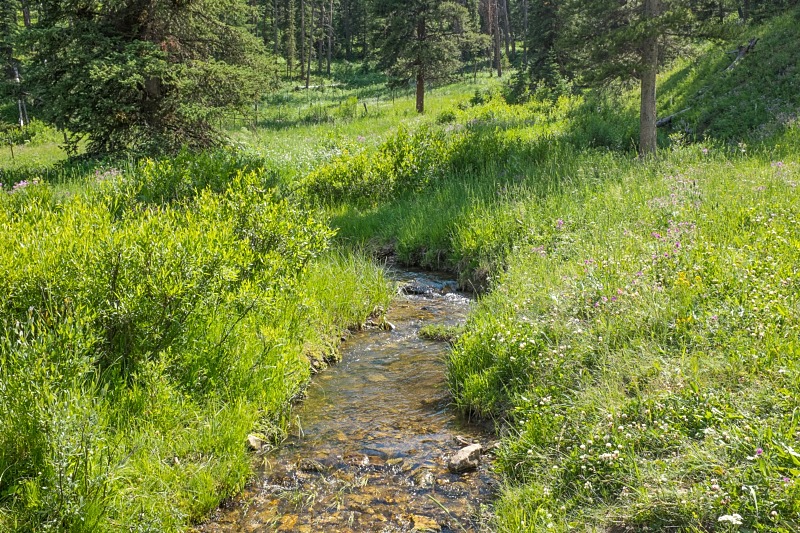 Cinnamon Creek Trailhead Natural Atlas