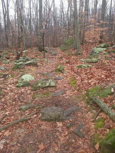 Scotts Run Map French Creek State Park Natural Atlas