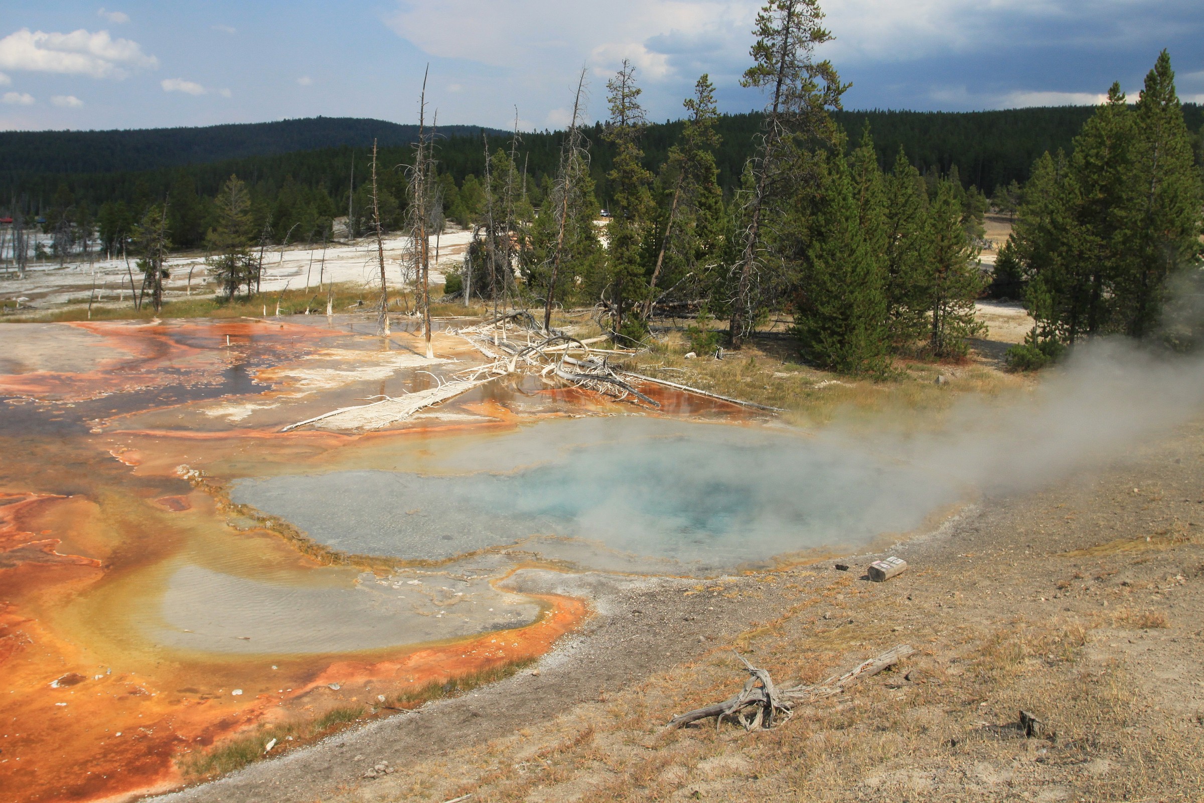 Top Hot Springs of Yellowstone Natural Atlas