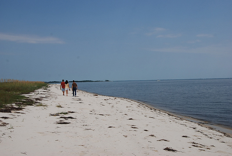 Bald Point State Park Map, FL – Natural Atlas