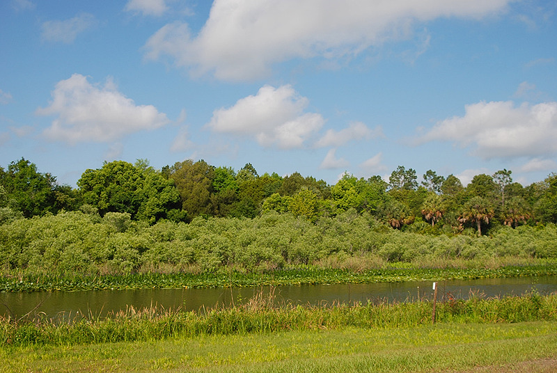 Ocklawaha River Map (Marjorie Harris Carr Cross Florida Greenways State