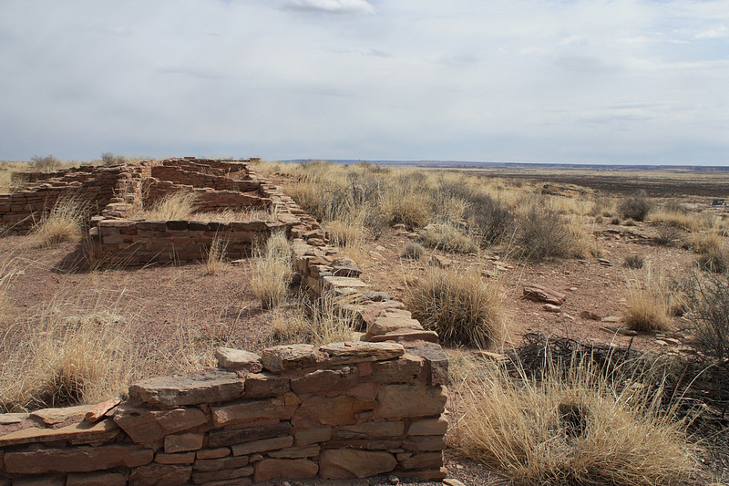 Puerco River Map (Mogollon Rim) Natural Atlas