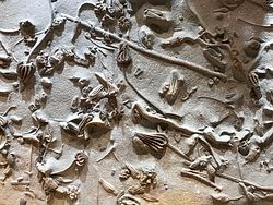 Wyoming Dinosaur Center | Natural Atlas
