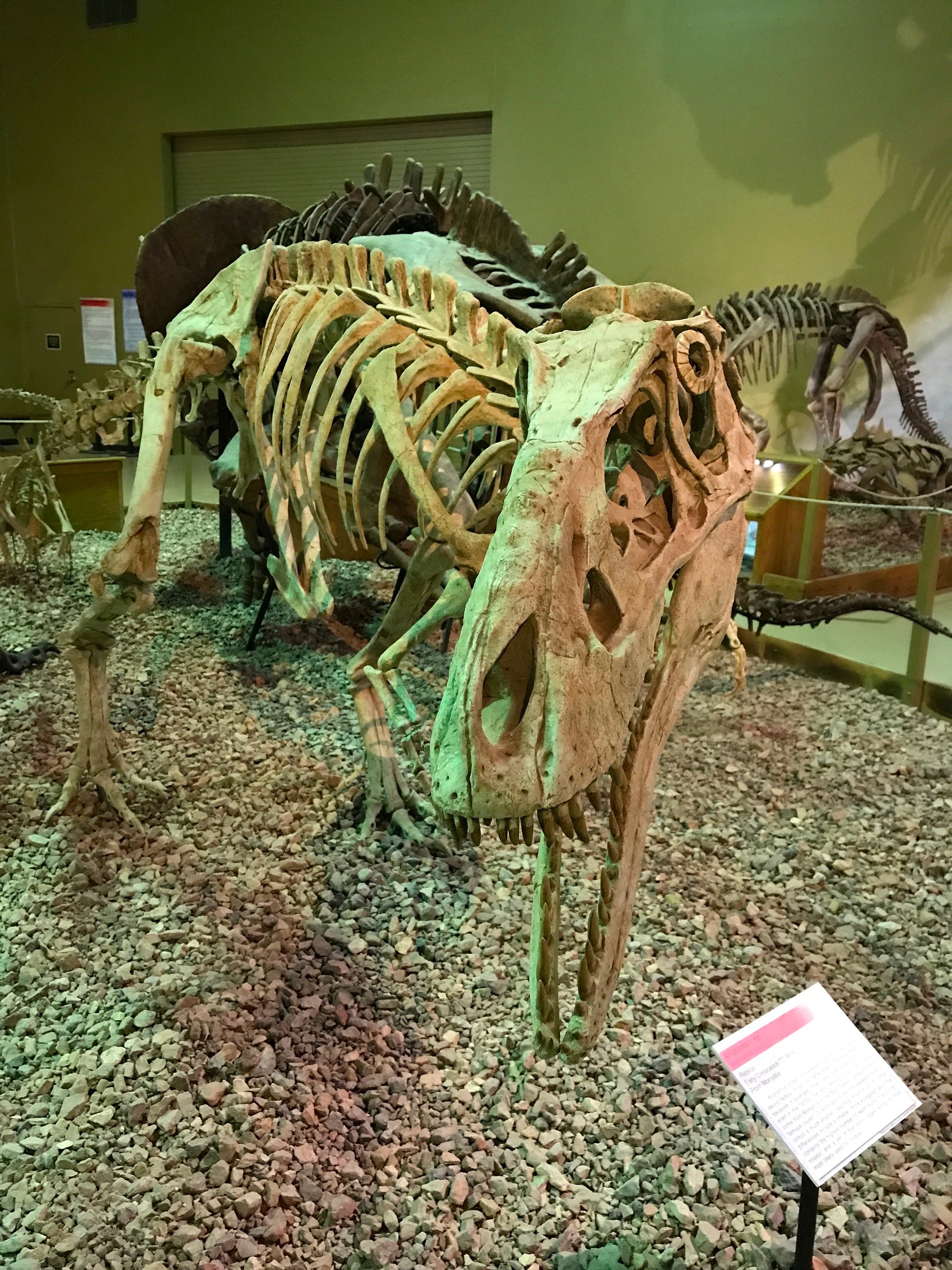Wyoming Dinosaur Center | Natural Atlas