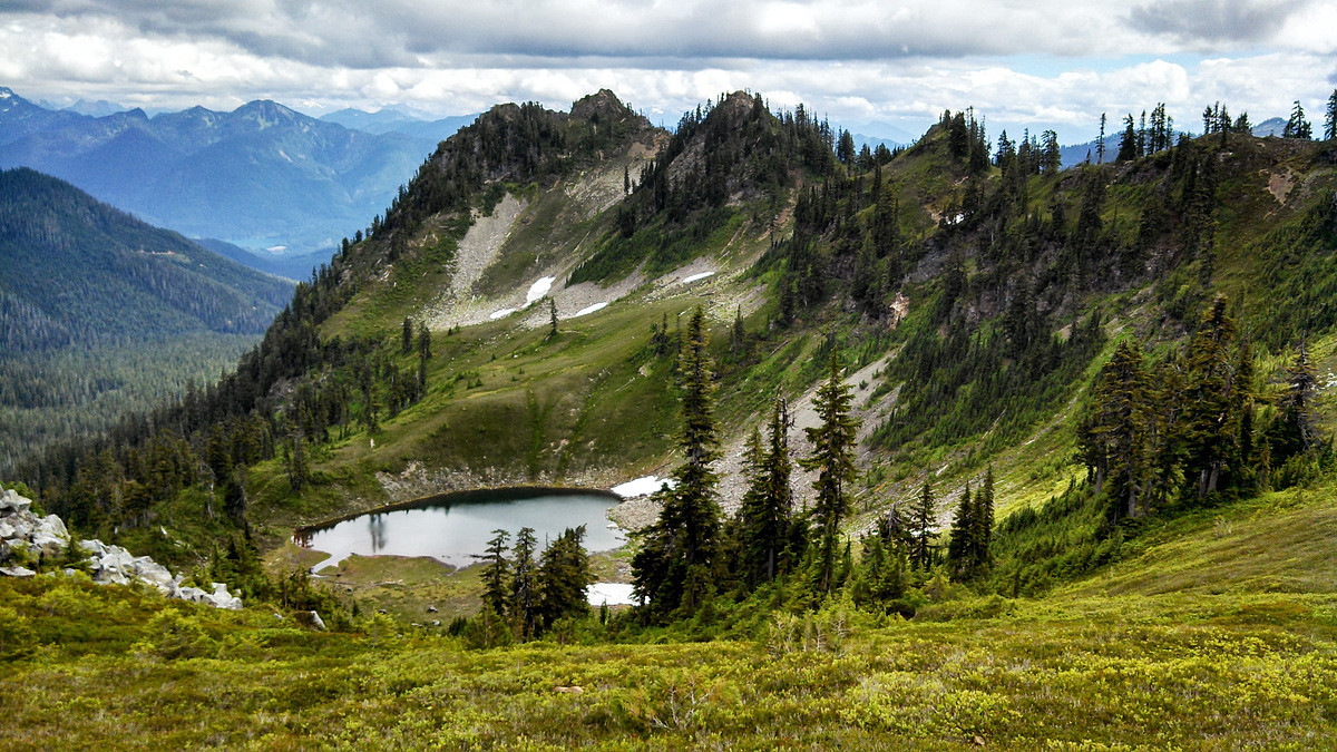 mt-baker-national-forest-map-natural-atlas