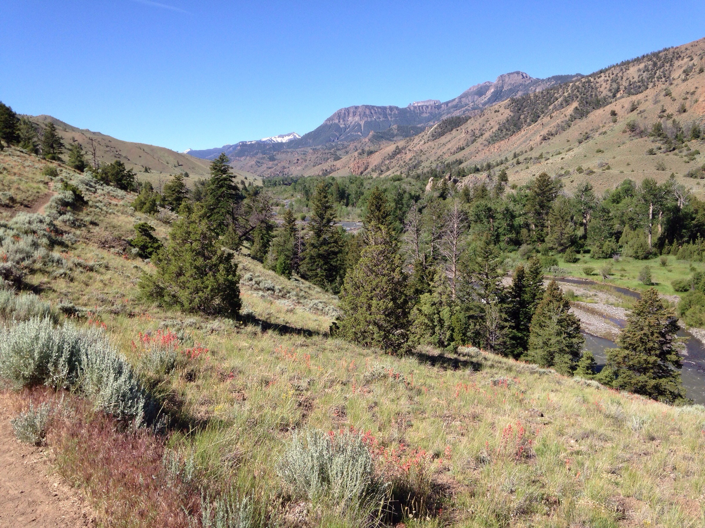 Elk Fork Natural Atlas