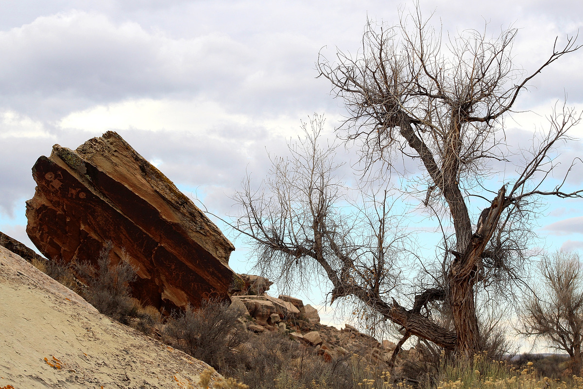 Puerco River Map (Mogollon Rim) Natural Atlas