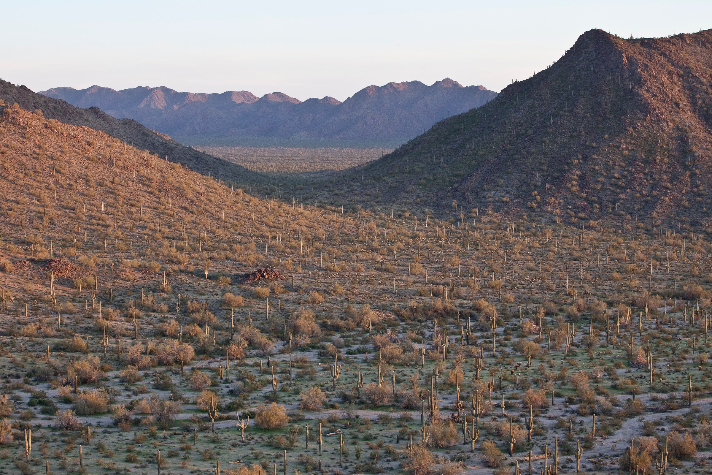 Sonoran Desert National Monument Natural Atlas
