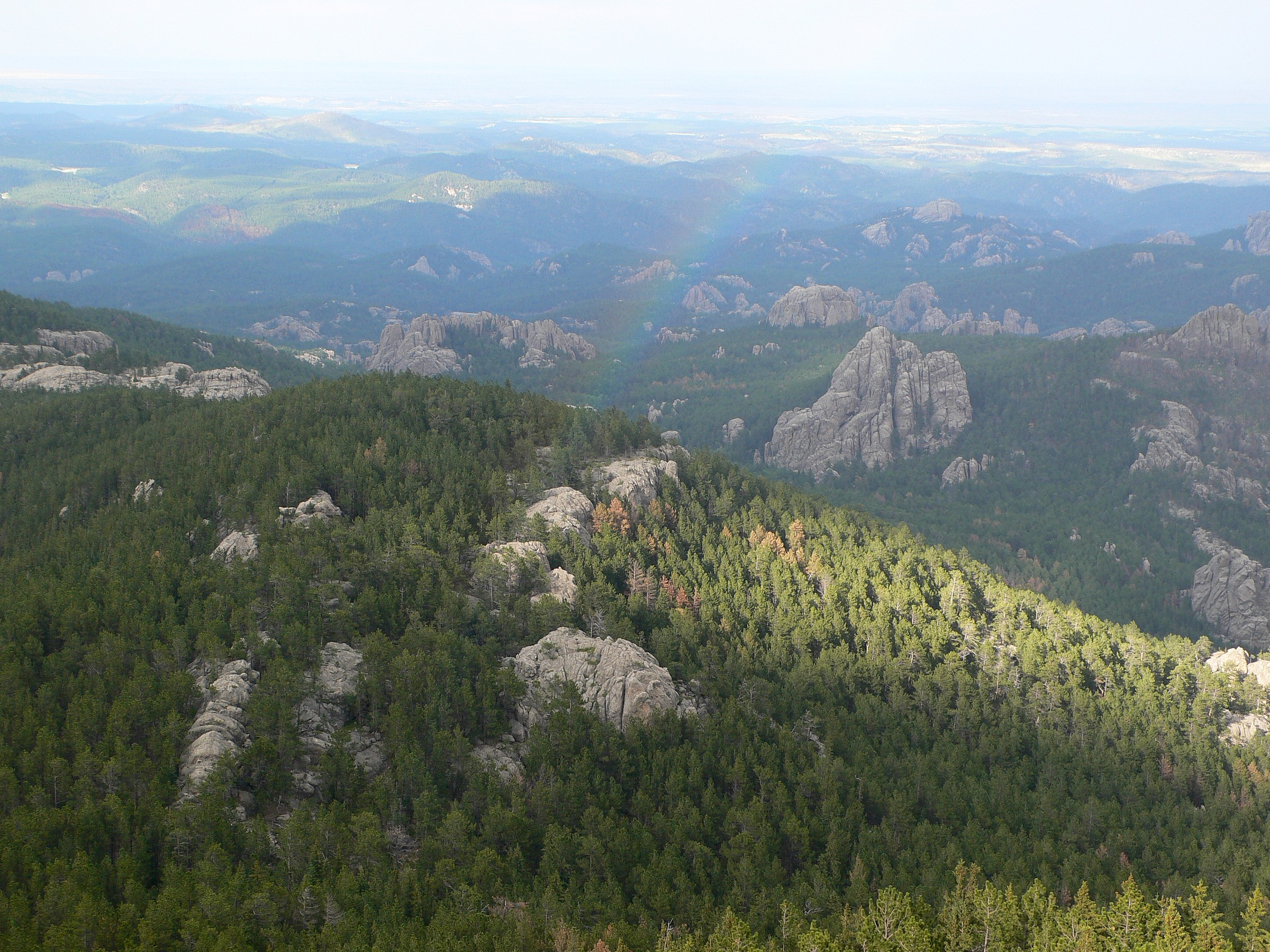 Black Hills National Forest  Natural Atlas