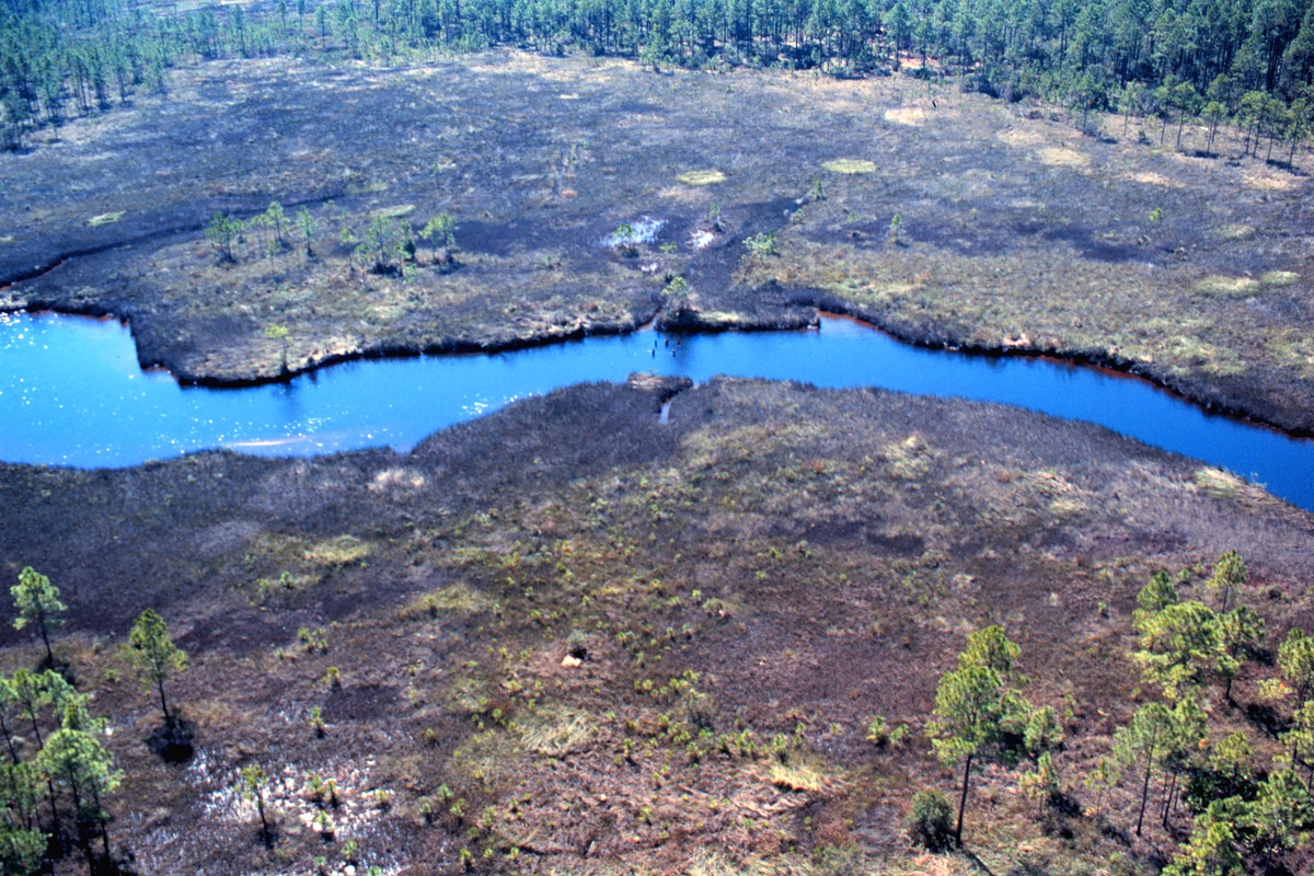 Grand Bay National Wildlife Refuge Natural Atlas
