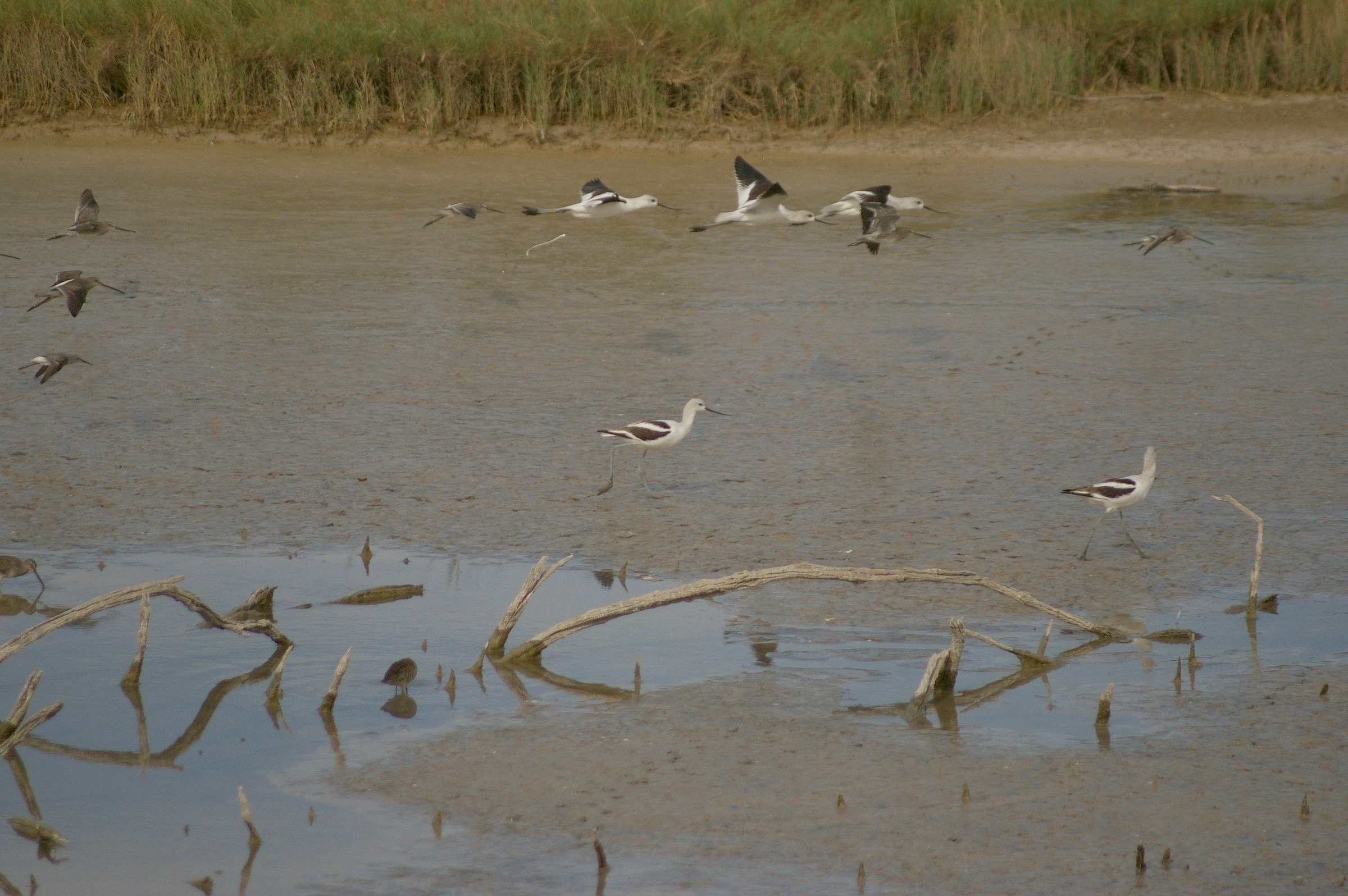 Bitter Lake National Wildlife Refuge Natural Atlas