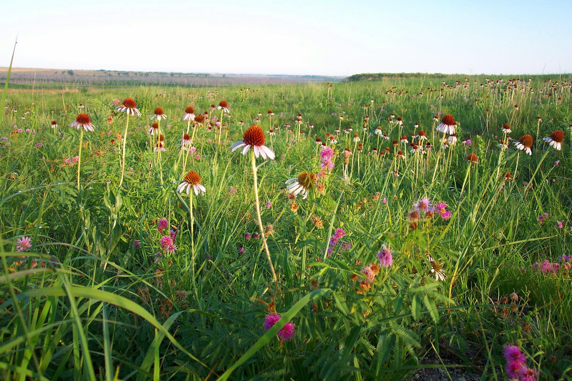 Kirwin National Wildlife Refuge Natural Atlas