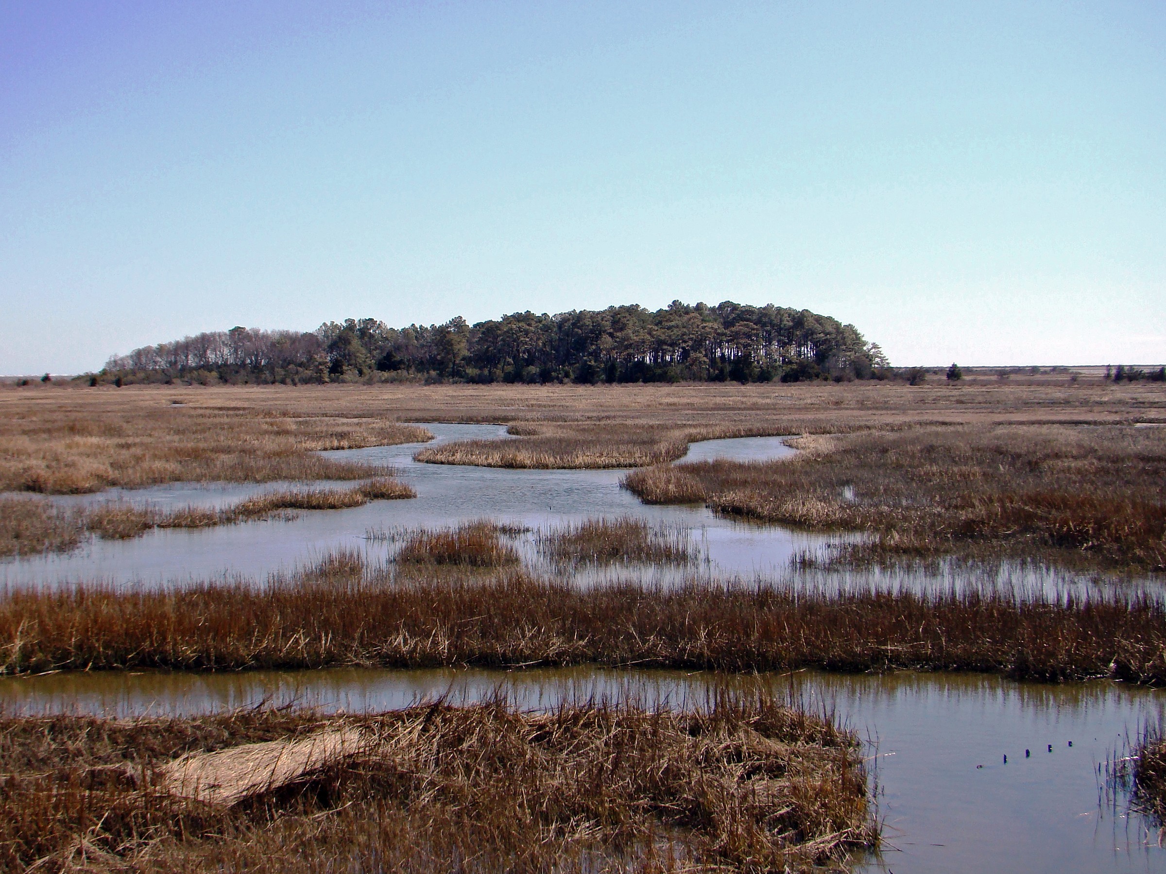 Eastern Shore of Virginia National Wildlife Refuge Natural Atlas