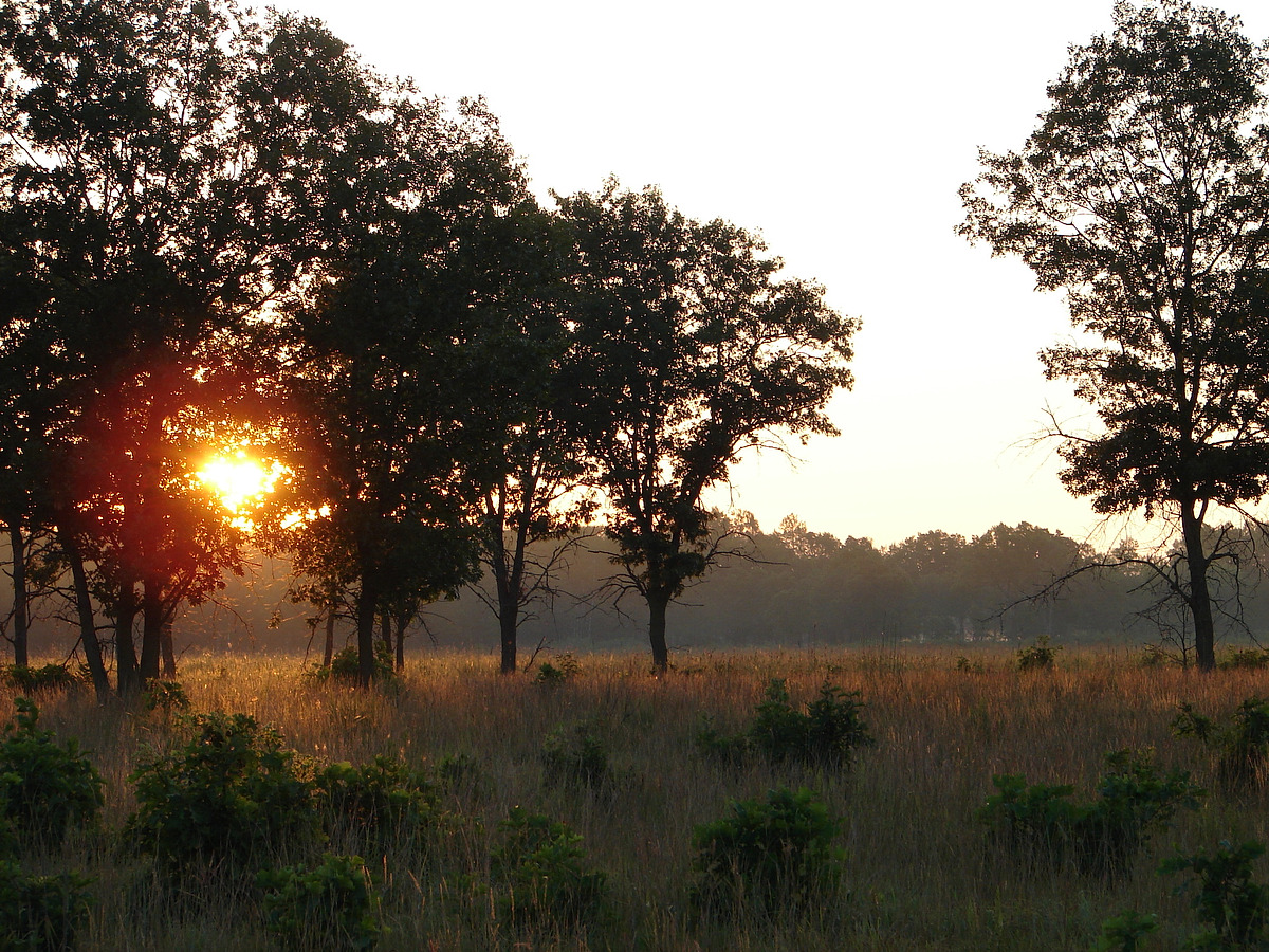 Necedah National Wildlife Refuge Natural Atlas