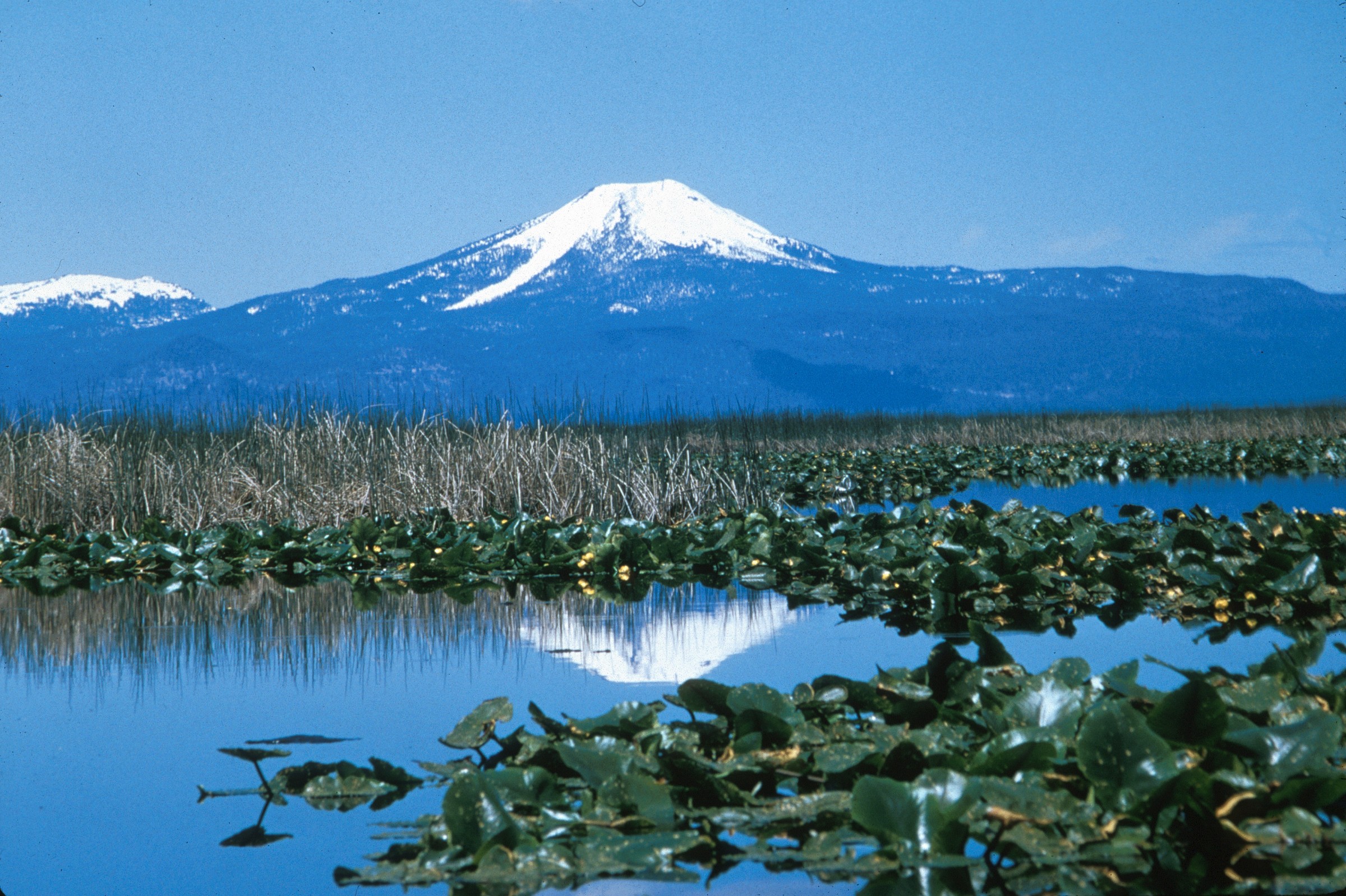 Upper Klamath National Wildlife Refuge Natural Atlas