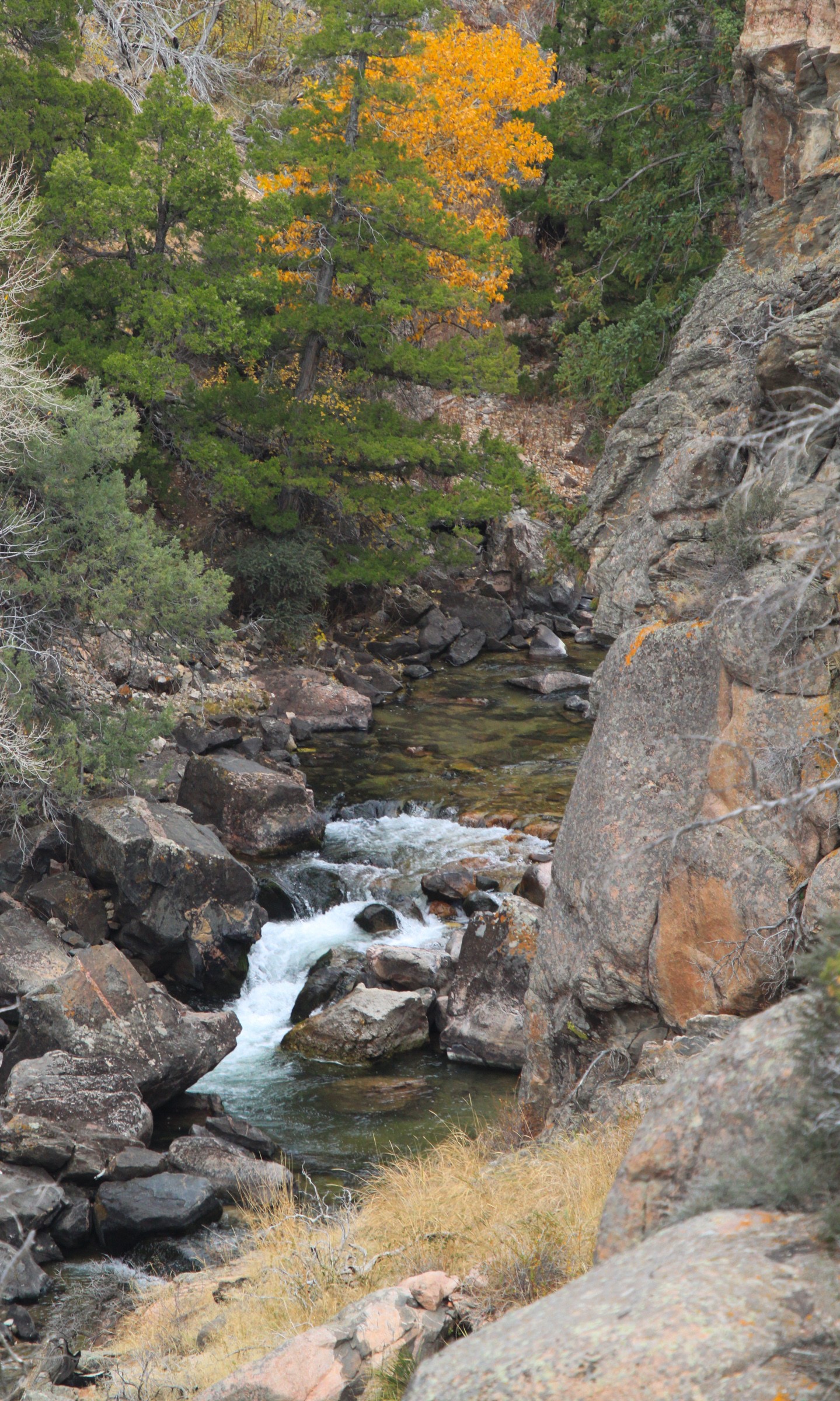 Shell Creek Natural Atlas