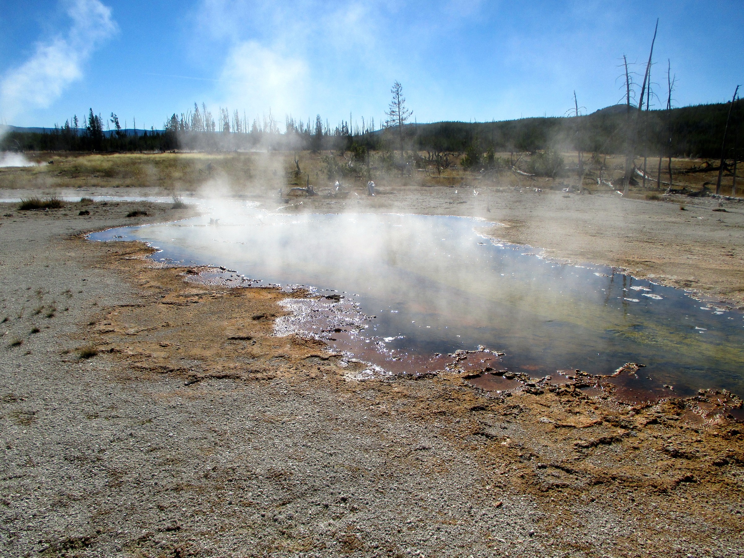 Queens Laundry Natural Atlas