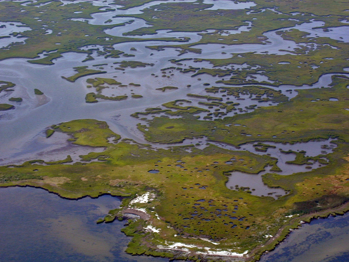 Plum Tree Island National Wildlife Refuge | Natural Atlas