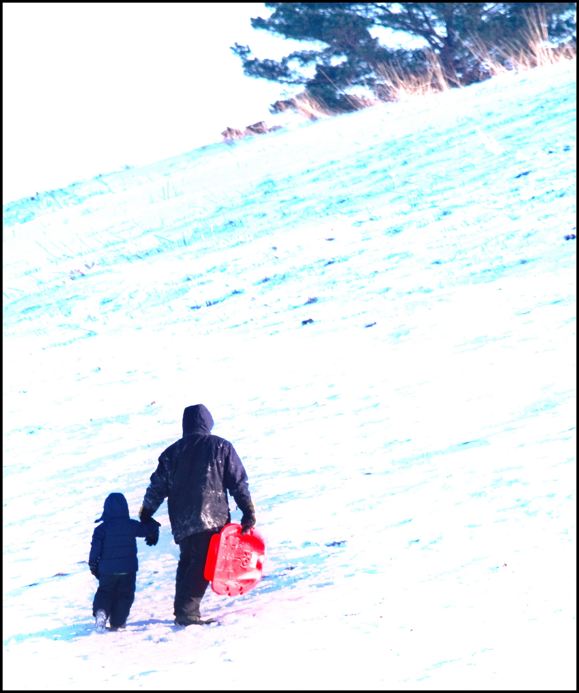 Prince Gallitzin State Park Natural Atlas