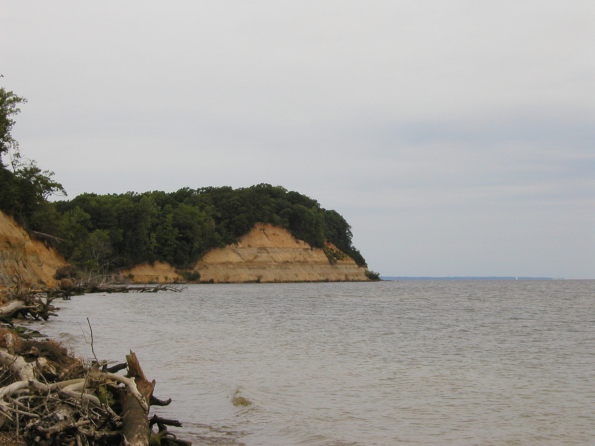 Calvert Cliffs State Park Natural Atlas