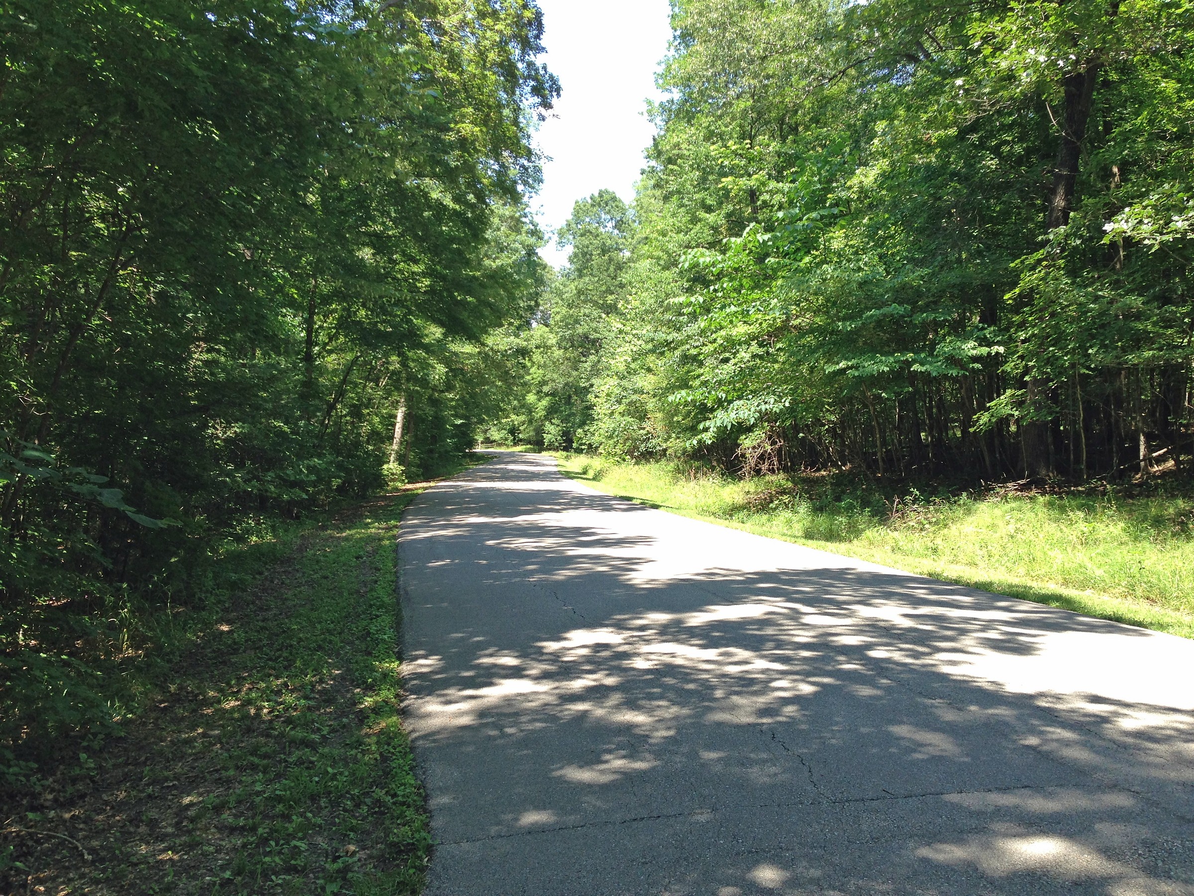 Robertsville State Park Natural Atlas