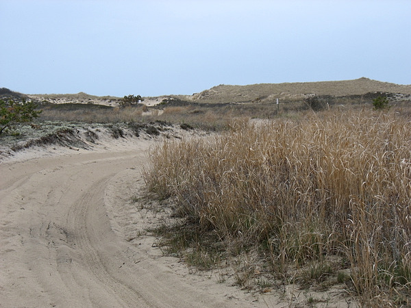Escape to the End of the World: A Guide to Napeague State Park