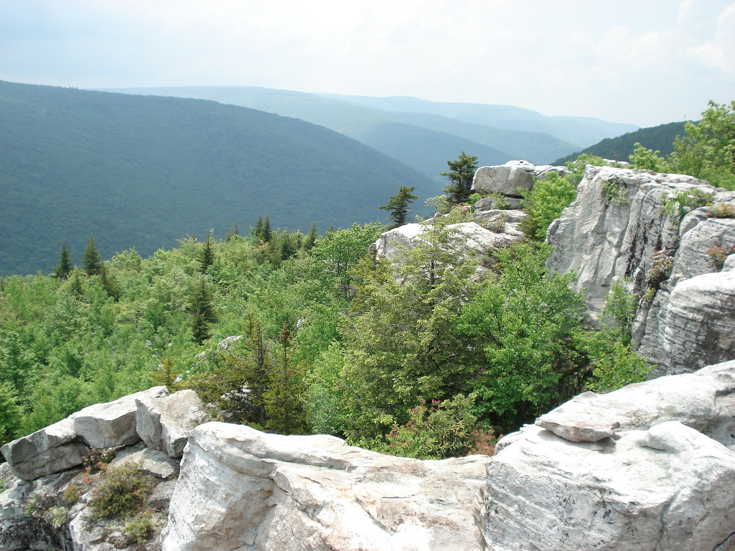 Dolly Sods Wilderness Natural Atlas